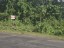 Land | Two Premium 1/2-acre Lots