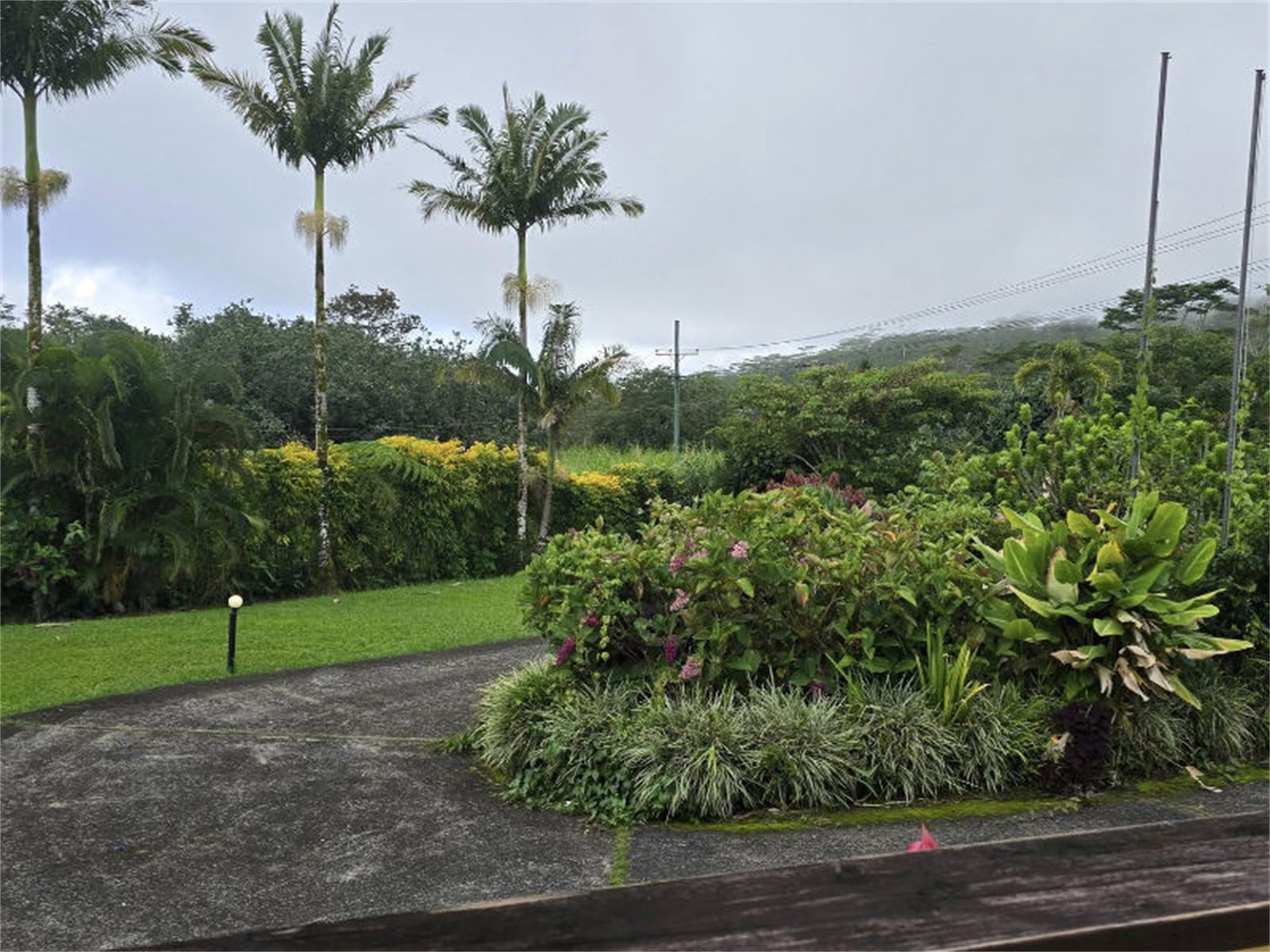 Afiamalu | View From Front