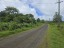 Tar-sealed road frontage