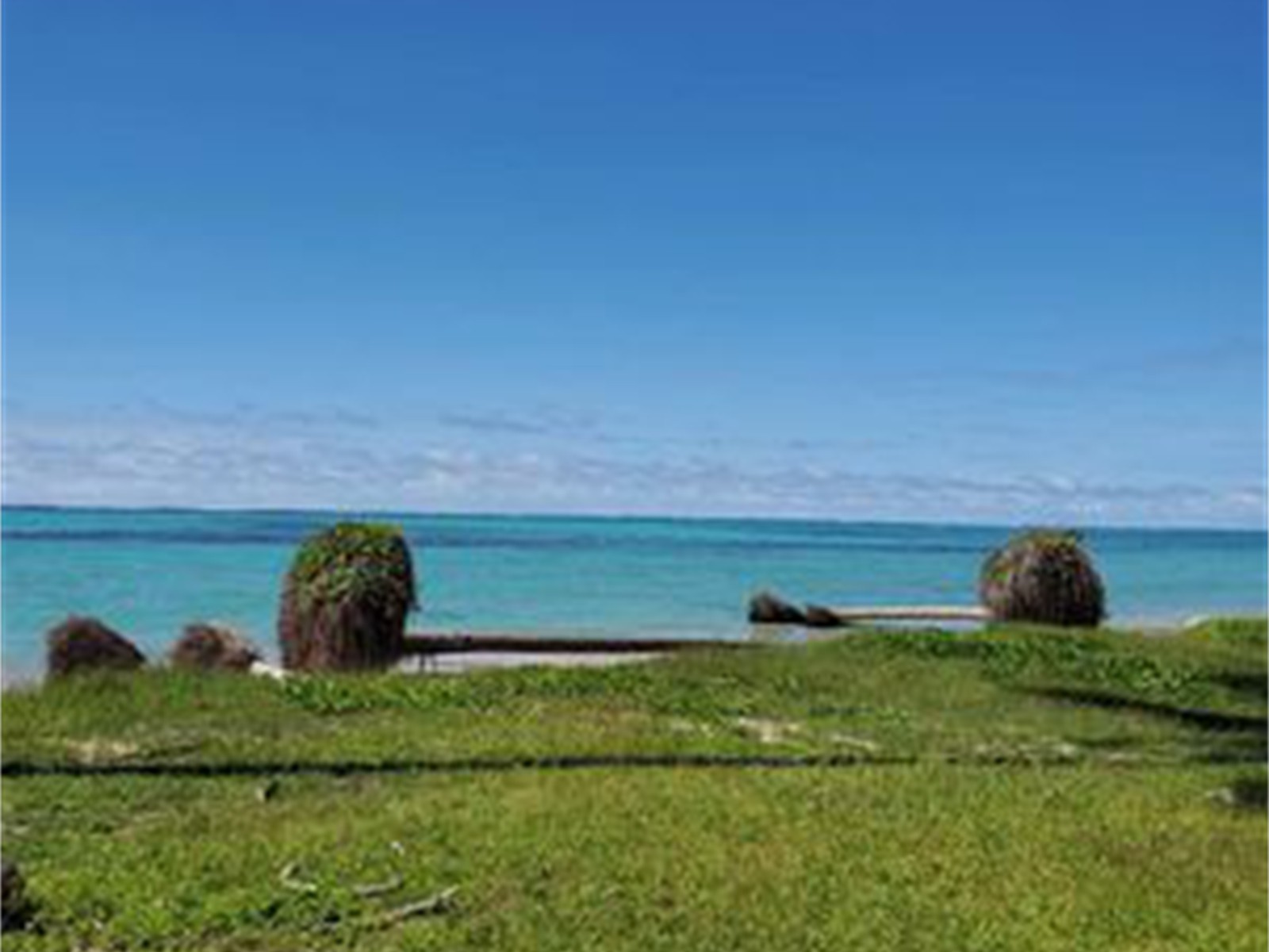 15 Acres of Tropical Paradise