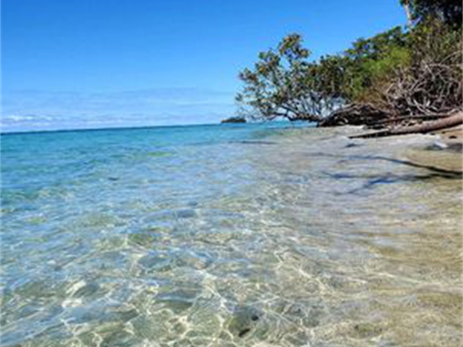 Own a piece of Samoa