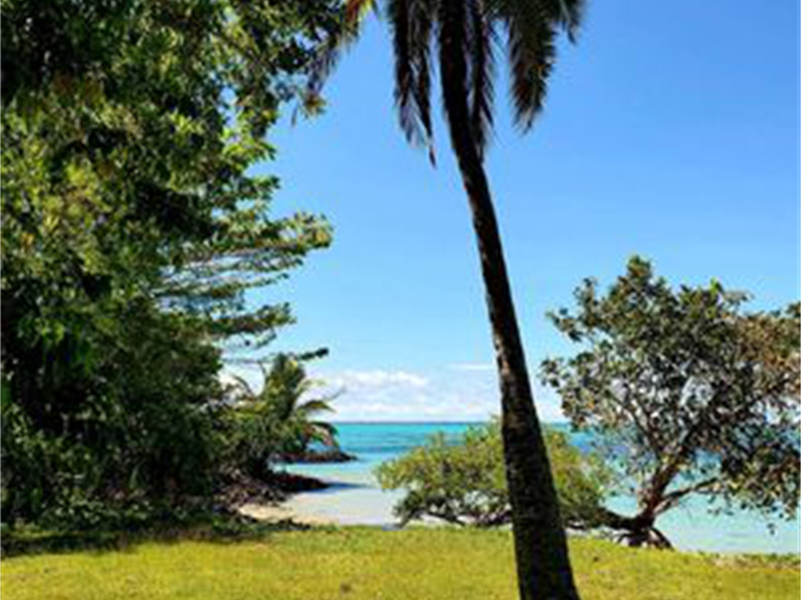 Freehold Beachfront Property