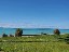15 Acres of Tropical Paradise