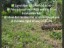 Ideal for Residential or Investment
