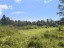 Tiapapata | 1 Acre