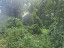 Tiapapata | Quarter Acre Lots x5