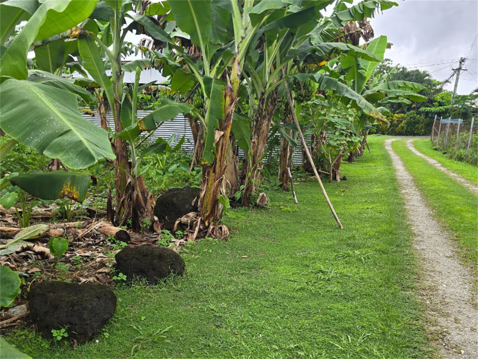 Close to Vaitele Primary School