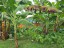 Vacant Land 1/4 Acre | Vaitele