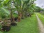 Close to Vaitele Primary School