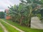 Vacant Land 1/4 Acre | Vaitele
