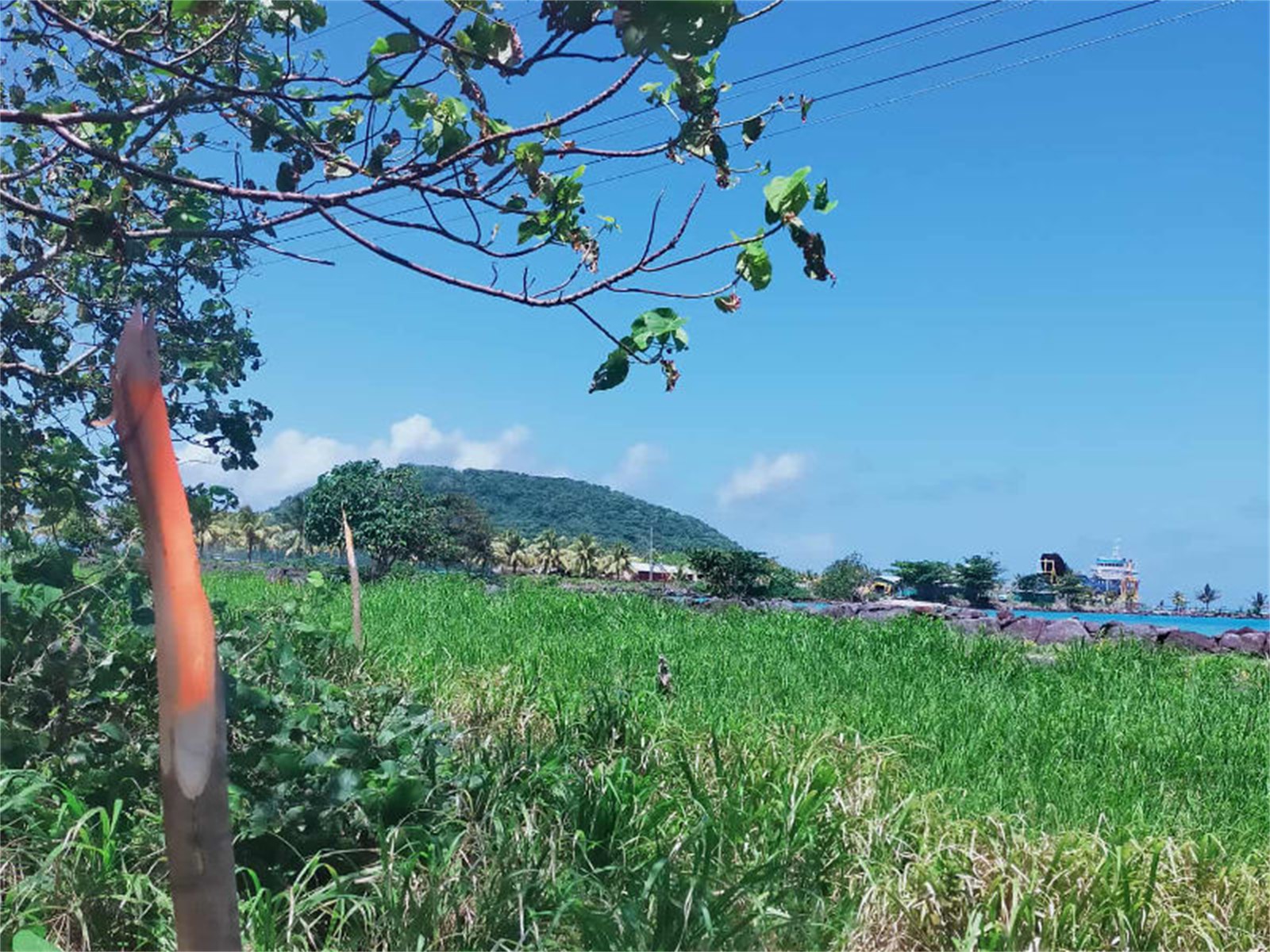 Just 300 metres off Aleipata Rd