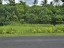 Vacant Land | 3 1/2 Acres | Satitoa