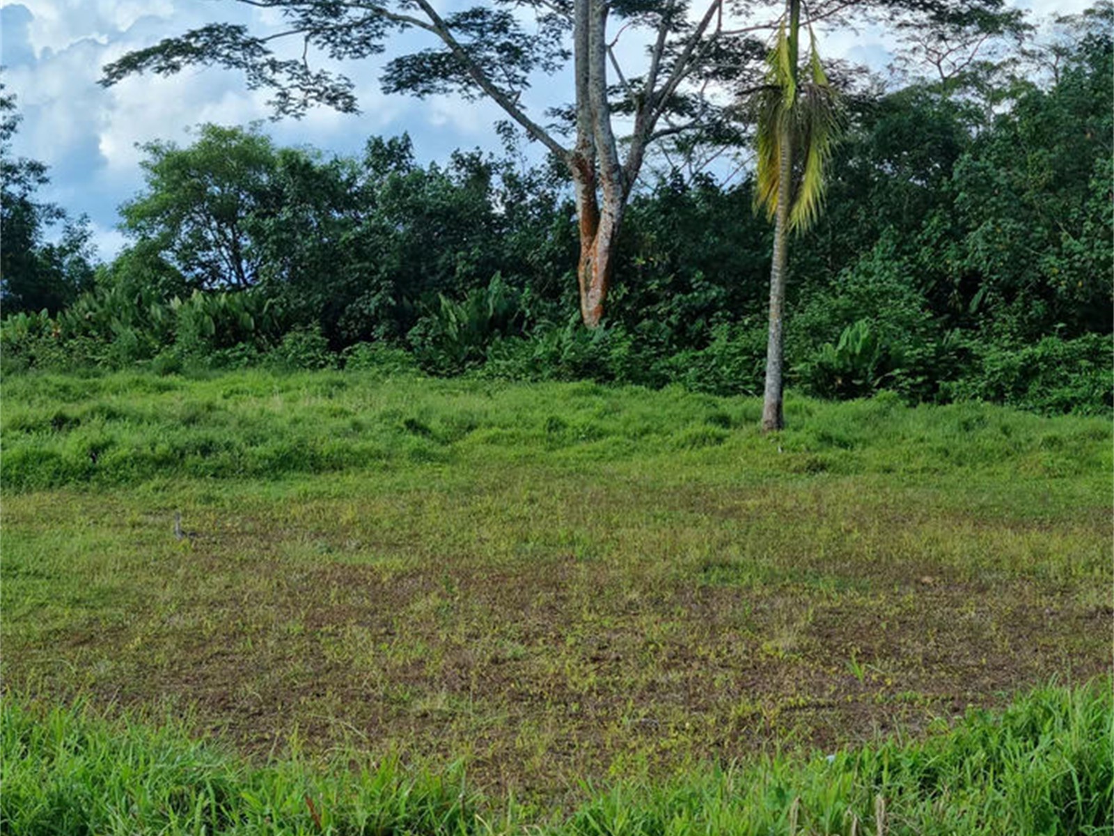 Three Quarter (3/4) Acre